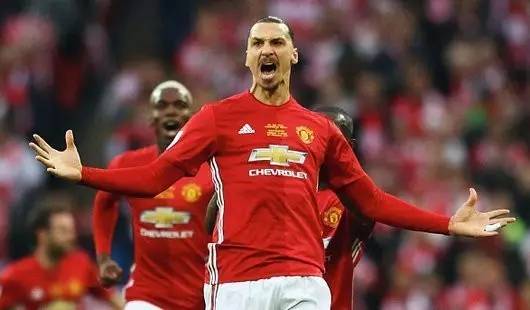 了自己全面 了自己全面