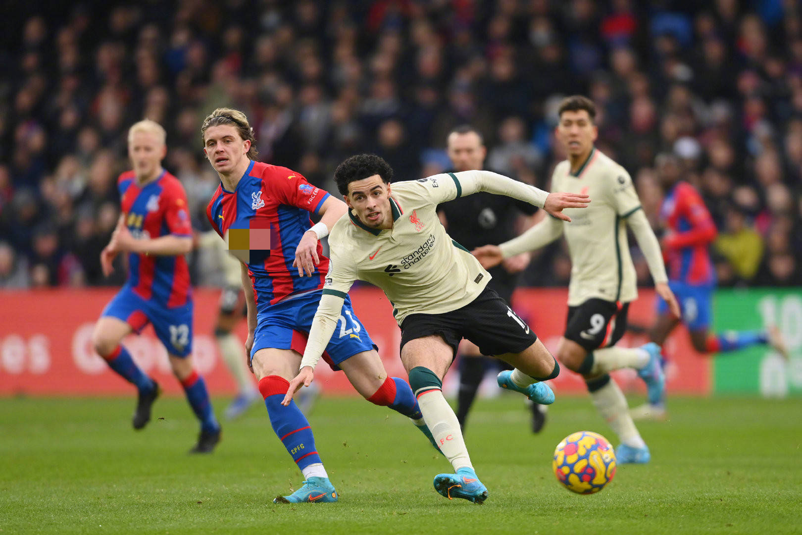 更与狼队未 更与狼队未